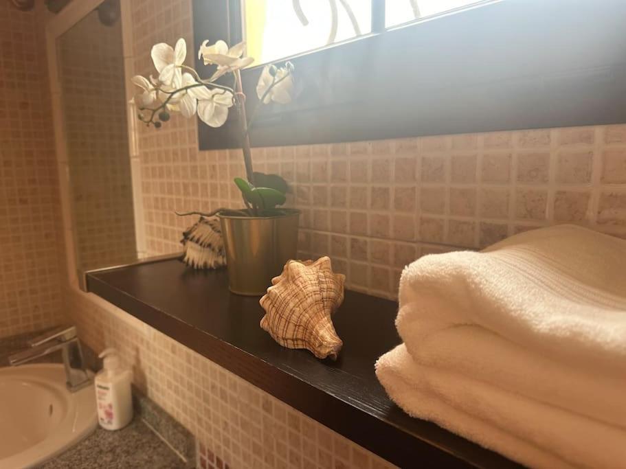 Bungalow Santa Fe 马斯帕洛马斯 外观 照片